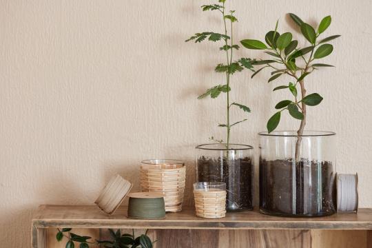Fyrfadsstage i glas med rattanflet H10 Ø9 cm